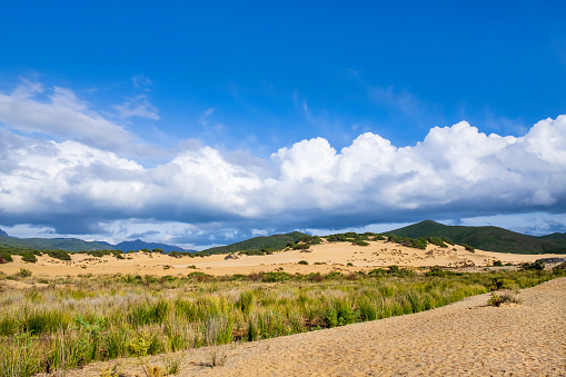 Imposing dunes of golden sand dotted with Mediterranean scrub in Piscinas, an oasis far from everything
