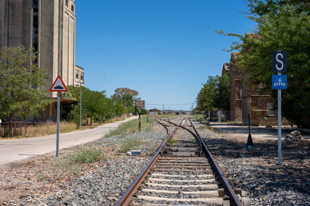 istock Abandoned railway track surrounded by dry grass and trees. 1629361840