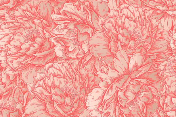 Vector illustration of Flowers peonies. Luxury seamless background. Vintage.