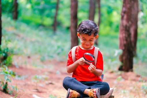 Asian boy using magnifying glass at pine forest. Nature and wellbeing.