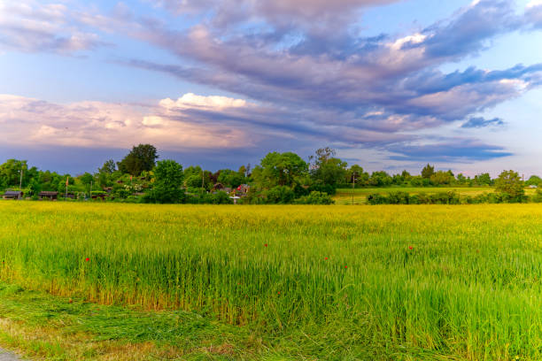 istock Idyllic rural landscape at Swiss town with dramatic sky background. 1629428064