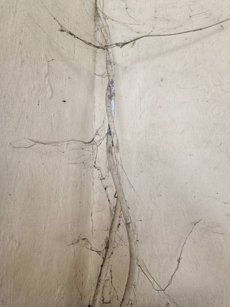 istock old cable and cobwebs with cream wall background 1629437706