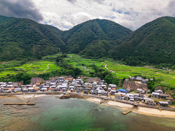 istock Sodeshi Rice Terraces in Kyoto, Japan 1629450392
