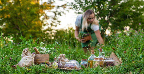 istock A woman collects medicinal herbs. Selective focus. Nature. 1629453210