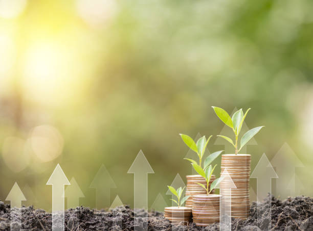 istock Save money target, success goals and investment growth concept. Stack coins on ground with white arrows rising on green nature background. Financial and business, Management money retire, tax 1629487519