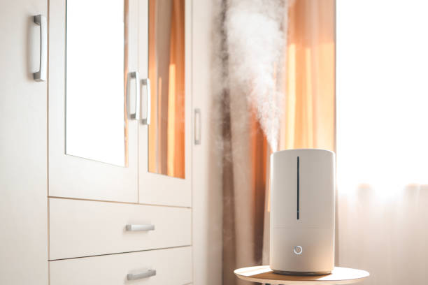 istock Modern air humidifier on table in living room. Space for text 1629487764