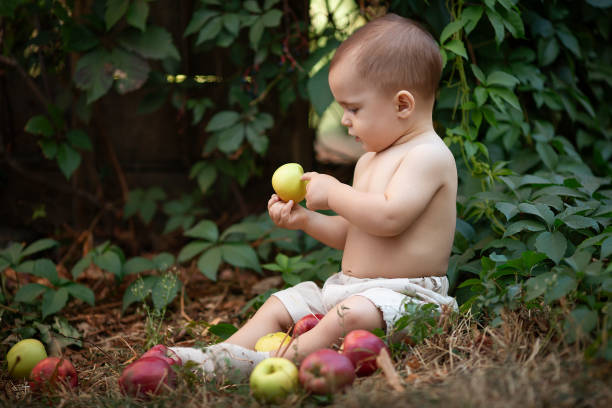 庭にリンゴを持つ小さな男の子。ピクニックで少し幸せな男の子のポートレート。アウトドアライフスタイルのコンセプト - orchard child crop little boys ストックフォトと画像