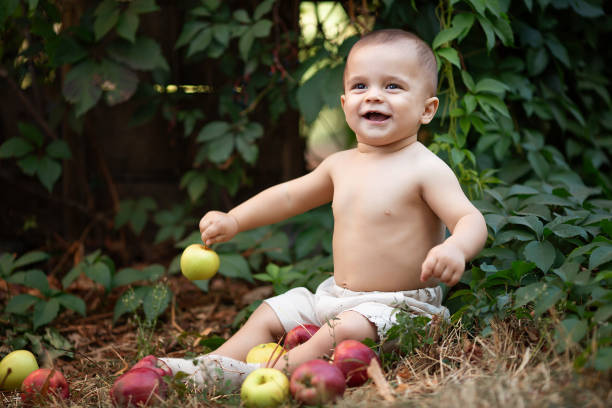 庭にリンゴを持つ小さな男の子。ピクニックで少し幸せな男の子のポートレート。アウトドアライフスタイルのコンセプト - orchard child crop little boys ストックフォトと画像