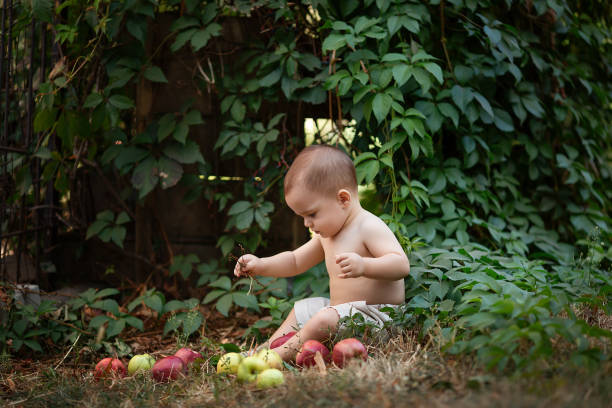garotinho com maçãs no jardim. retrato de um menino feliz no piquenique. conceito de estilo de vida ao ar livre - orchard child crop little boys - fotografias e filmes do acervo