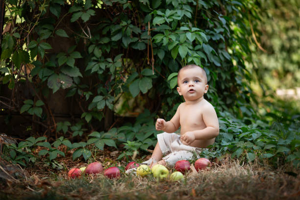 garotinho com maçãs no jardim. retrato de um menino feliz no piquenique. conceito de estilo de vida ao ar livre - orchard child crop little boys - fotografias e filmes do acervo