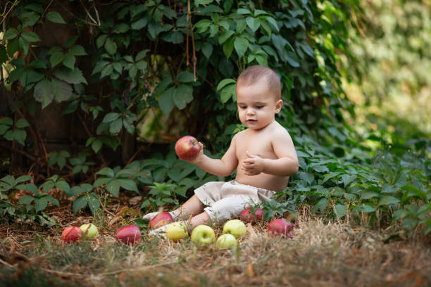 garotinho com maçãs no jardim. retrato de um menino feliz no piquenique. conceito de estilo de vida ao ar livre - orchard child crop little boys - fotografias e filmes do acervo