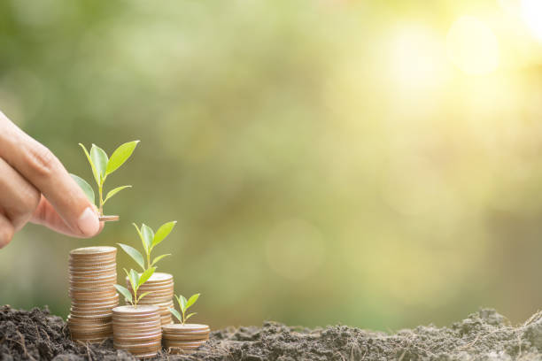 istock Hand putting money growing plants on stack coins in soil and green background blurred, warm light. Investment and business growth, economic risks, worth spending, saving money for the future concept 1629489824