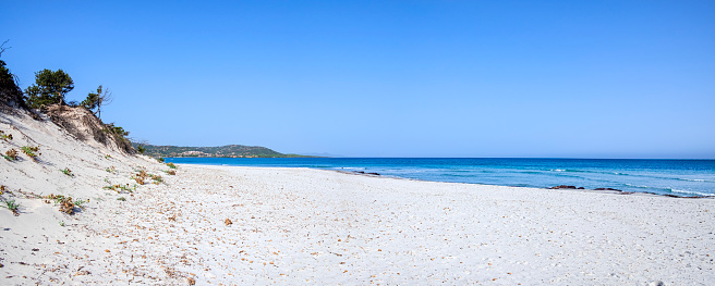 Beach of Capo Comino, bordered by white sand dunes dotted with junipers and lapped by turquoise water (3 shots stitched)