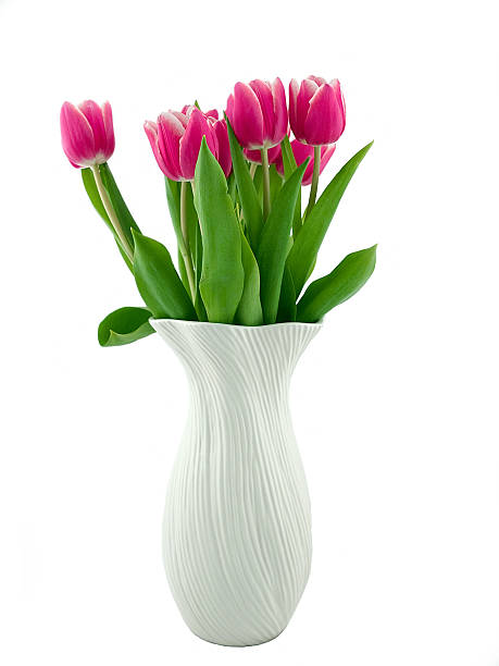 Tulips in a Vase stock photo