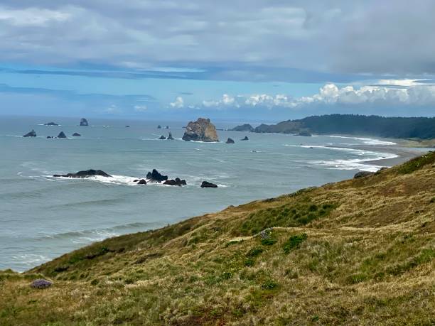 istock The amazing Oregon Coast 1629502954
