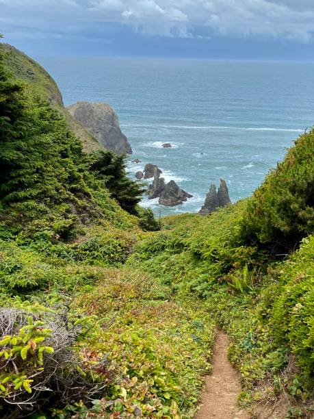 istock The amazing Oregon Coast 1629503491