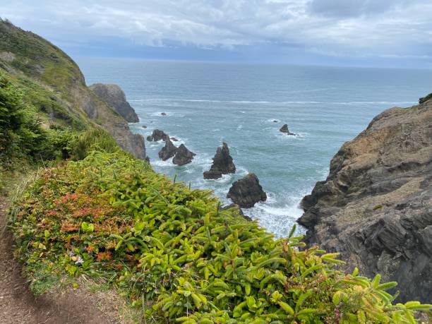 istock The amazing Oregon Coast 1629503907