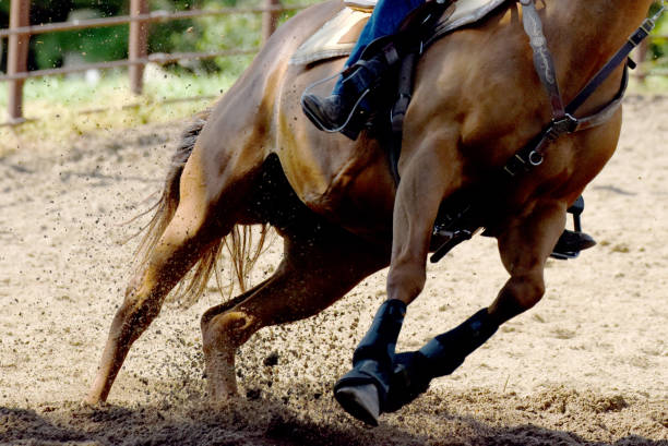 istock Horse Making a Sharp Turn in an Arena 1629506458