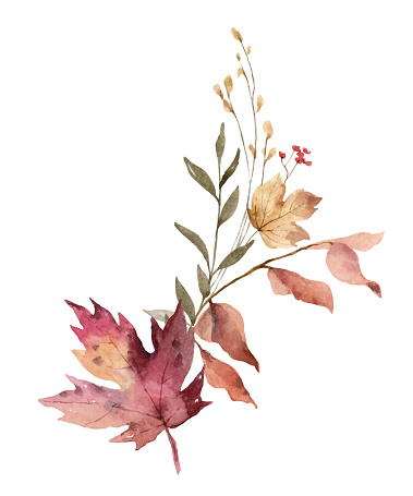 Watercolor vector arrangement with dry autumn twigs and leaves. Perfect for a Thanksgiving decoration, Harvest Day, wedding invitation, greeting cards. Hand painted  illustration.
