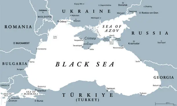 Vector illustration of Black Sea region, with Crimea and Sea of Azov, gray political map