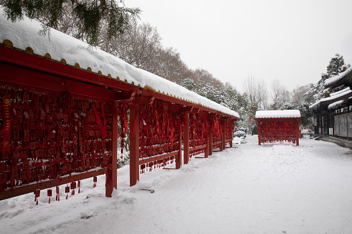 big snow in nanjing, so many red ropes stand for peoples' blessing