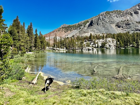 Hiking and exploring the Mammoth Lakes area in the Sierra Nevada Mountains