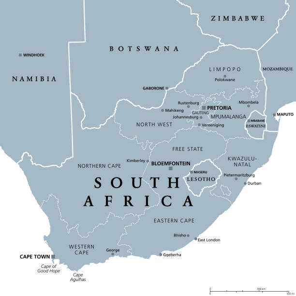 юар, серая политическая карта с провинциями и крупнейшими городами - south africa map africa durban stock illustrations