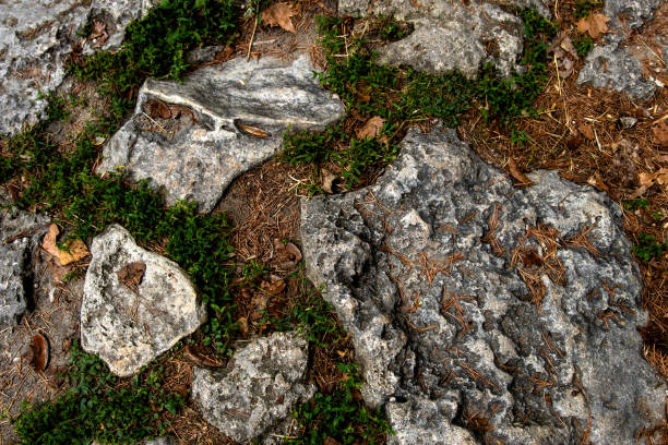 istock natural stone in the ground 1629547919
