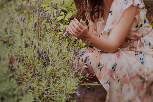 istock Young woman touching lavender bush in Summer 1629549644