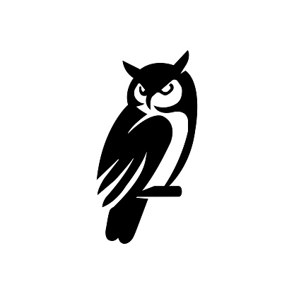 elegant wise owl bird perch logo, icon, symbol design illustration