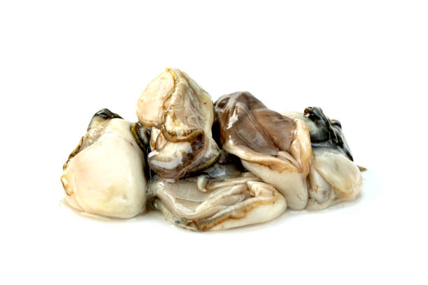 oysters isolated on a white background - pacific oyster imagens e fotografias de stock