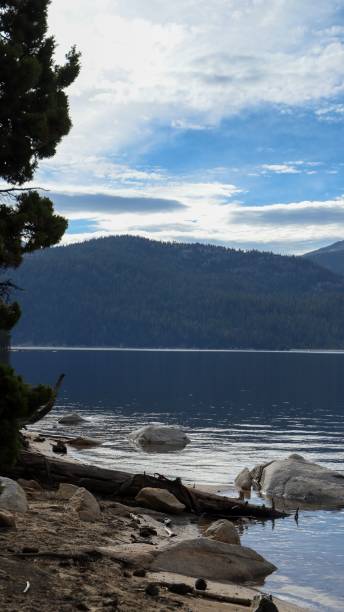 istock Vertical of a tranquil lake surrounded by green pine trees and mountains 1629577867