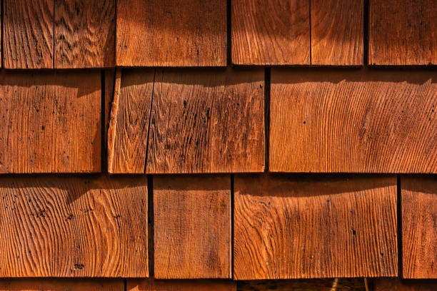 istock Orange Shingles on The Side Of Cabin 1629587164