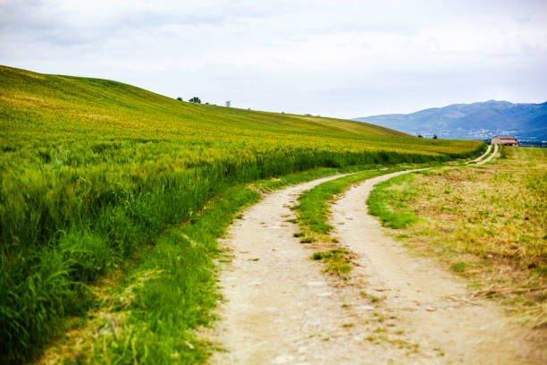 istock Dirt road in the country side, Tuscany 162958848