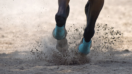 A closeup of a horse's hooves sending dirt flying while the animal runs at a full gallop.
