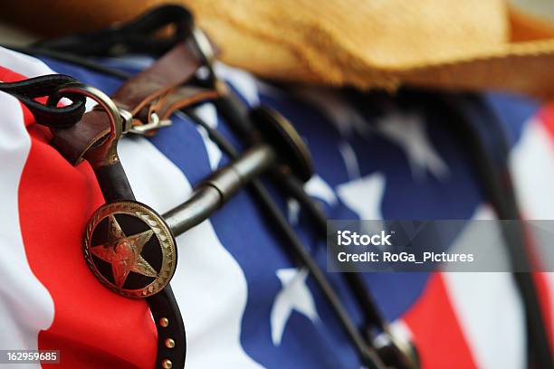 호스기어 라잉 On Usa Flag 기에 대한 스톡 사진 및 기타 이미지 - 기, 말, 텍사스주 주기