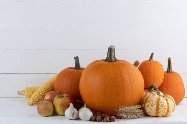 istock Harvested autumn food 1629601303