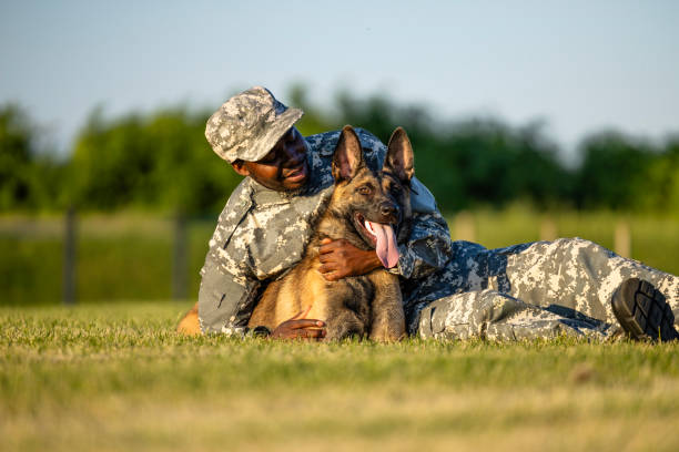 istock Love and trust between soldier and military dog. 1629604070