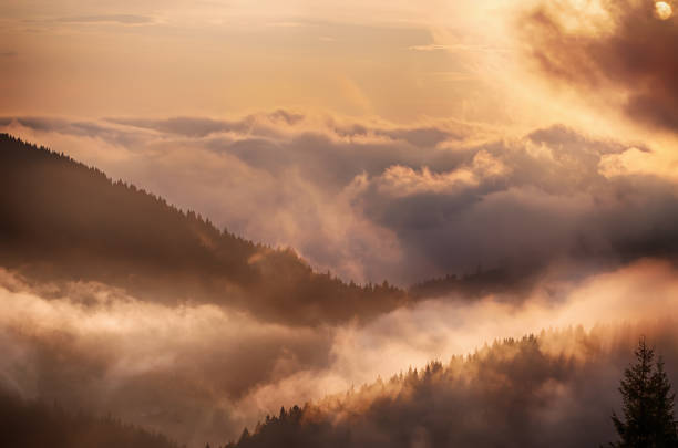 istock Foggy morning landscape 1629605762