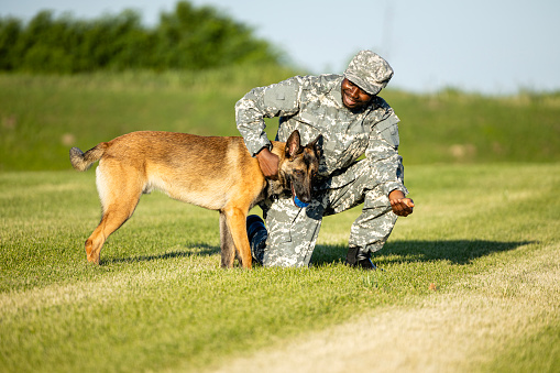 Soldier getting closed with his new military dog.