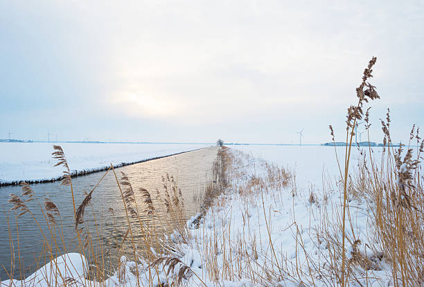 Frosty morning, arable fields in the morning fog and strong snow, Poland, Zulawy
