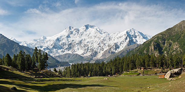 Nanga Parbat and Fairy Meadows Panorama, Himalaya, Pakistan Nanga Parbat and Fairy Meadows Panorama, Himalaya, Pakistan. The ninth highest mountain in the world and western anchor of the Himalaya seen from the idyllic Fairy Meadows, Pakistan. karakoram range stock pictures, royalty-free photos & images