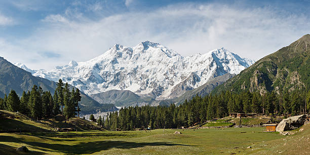 Nanga Parbat e fada Meadows Panorama, Himalaia, Paquistão - foto de acervo