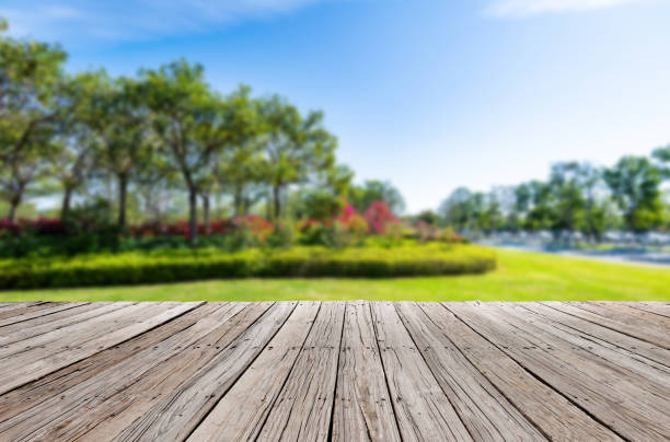 istock Wooden sidewalk in public park 1629631978