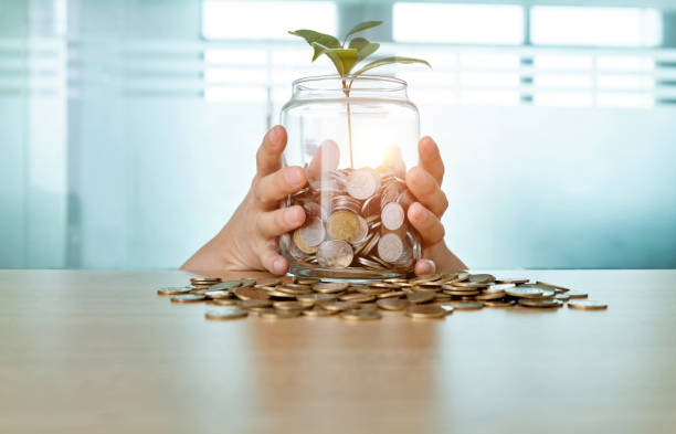istock Young plant growing from coin jar 1629632030