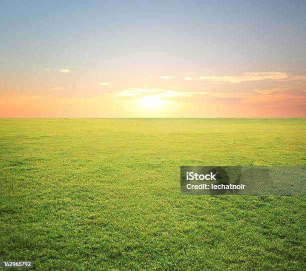 Fundo Pôr Do Sol De Verão - Fotografias de stock e mais imagens de Distante - Distante, Imagem Super Exposta, Prado