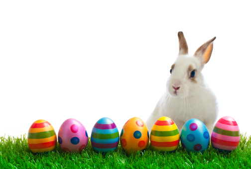 Easter Bunny and Eggs on Grass. Isolated on a white background. 