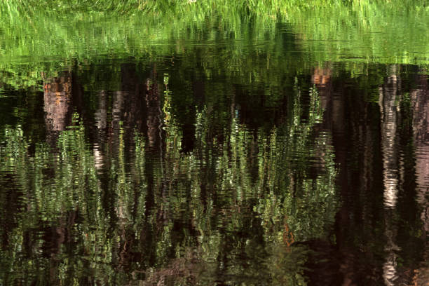 istock natural background, water landscape, shiny water surface with reflection 1629668102