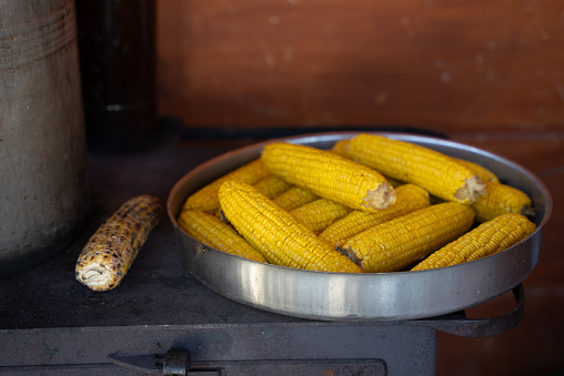 corn and bees on a tray