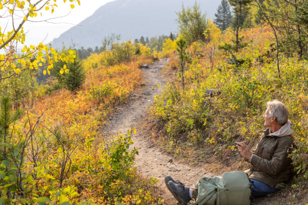 istock Senior man uses mobile phone in meadow 1629671173